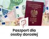 Paszport w 30 dni? Jak wyrobić krok po kroku dokumenty, opłaty