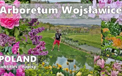 Arboretum Wojsławice: Kiedy jechać, by zobaczyć najpiękniej?