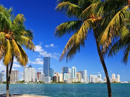Miami: Kiedy jechać, by pogoda i ceny były idealne?