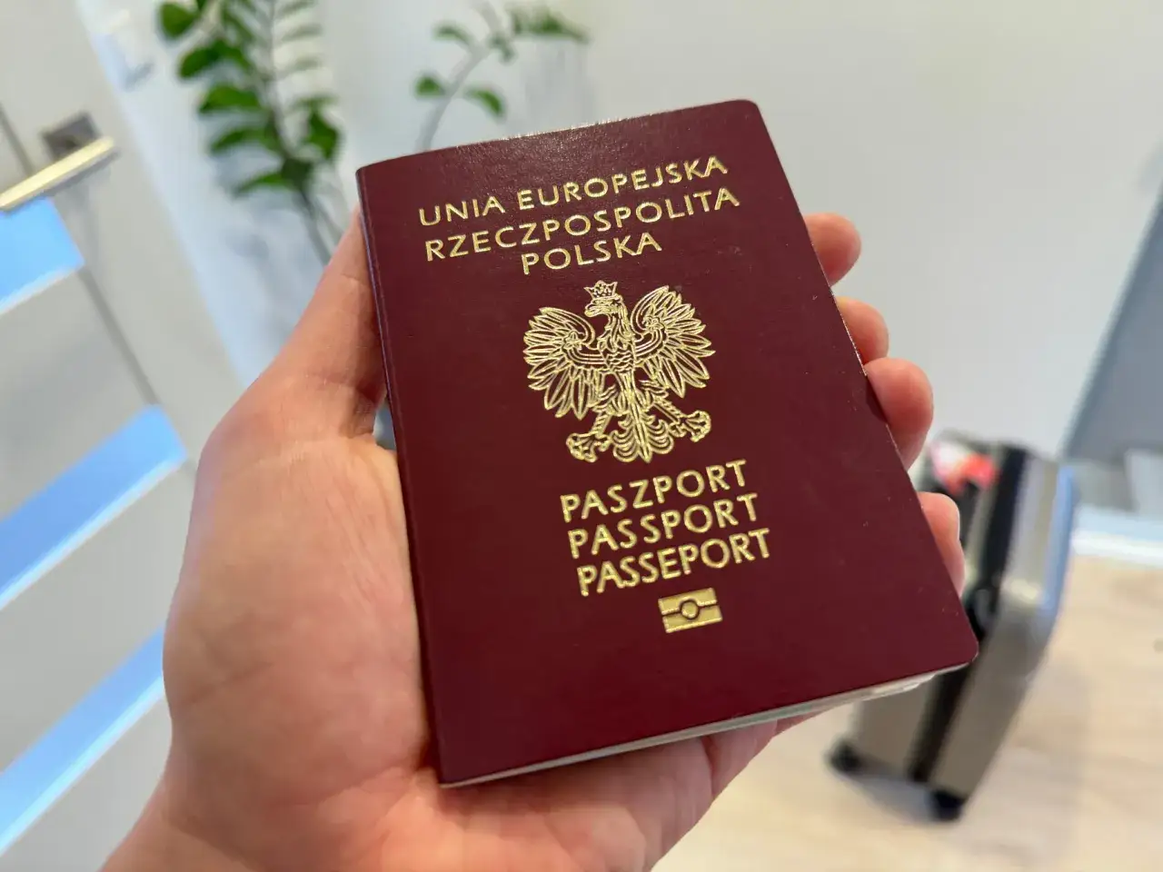 Paszport i wiza do USA