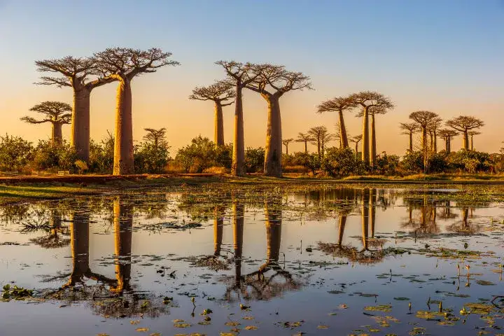 Madagaskar krajobraz różnorodność klimatyczna